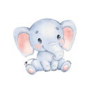 Daxiang Paid VPN, 巨象付费梯子