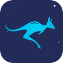 Daishu Paid VPN, 袋鼠付费梯子