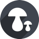 Mogu Paid VPN, 蘑菇付费梯子