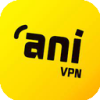 Anni Paid VPN